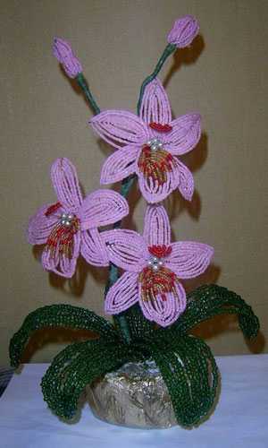 Кружка с орхидеей